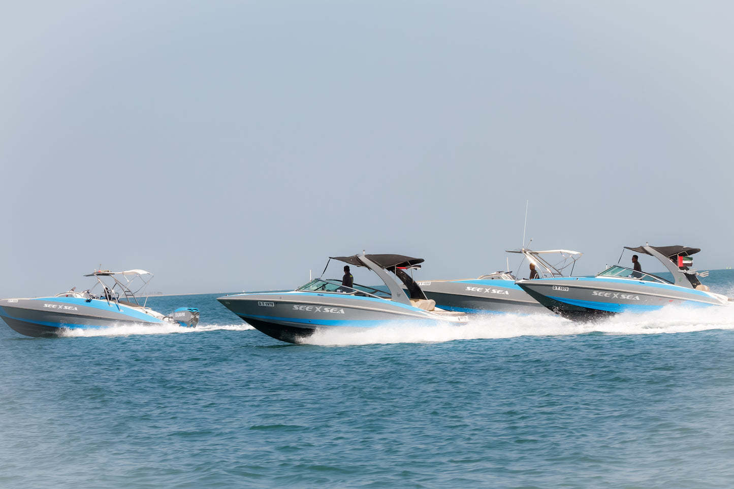 Marina Panorama Tour 60 Min