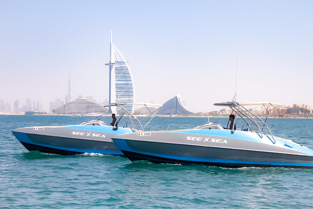 Dubai’s Iconic Coastline Tour 120 Min